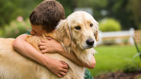 Why do humans love animals more than even humans?