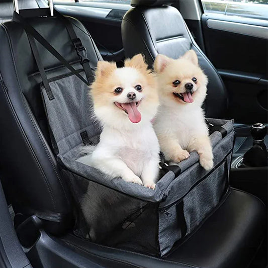 How to travel with a pet safely and comfortably?