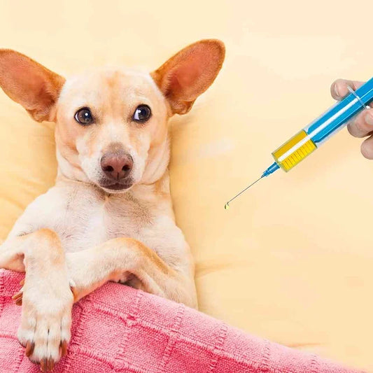 Which vaccines are most important for dogs?