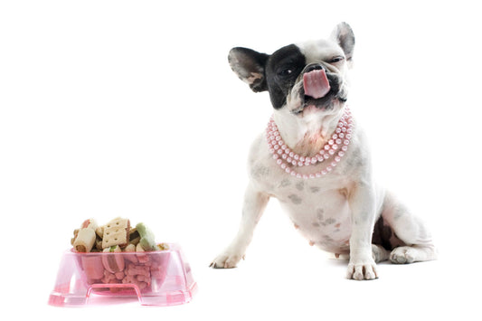 Types of dog snacks