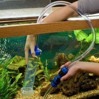 Regular maintenance for the aquarium, how to maintain and perform operations