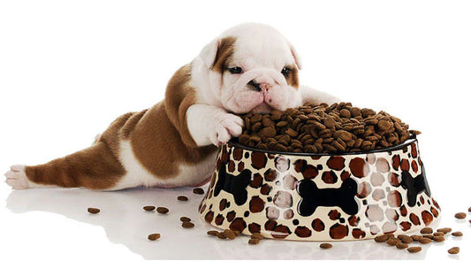 What food is recommended for puppies?