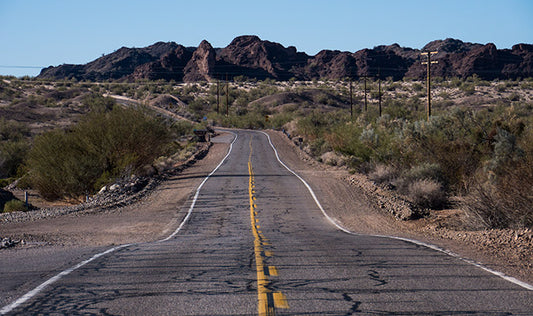 How can the phenomenon of animals run over on the roads be eradicated?