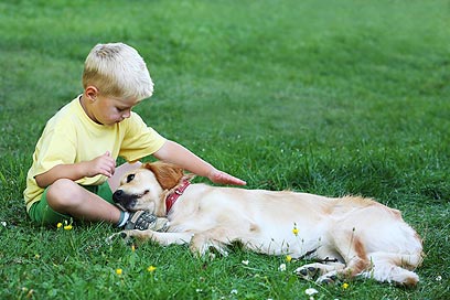 How do pets affect a child's development?