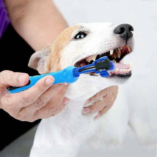 Brushing teeth for dogs and cats