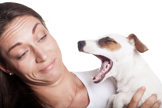 Say goodbye to dog bad breath.