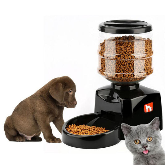 Automatic cat feeder - a convenient solution for maintaining a regular diet