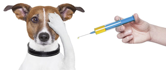 What are the required vaccinations for pets?