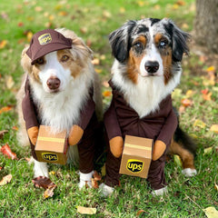 Dog costume