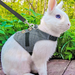 Rabbit leash