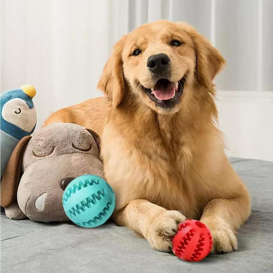 Dog Toys