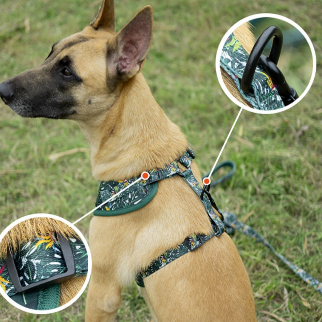 Vest Pet Harness