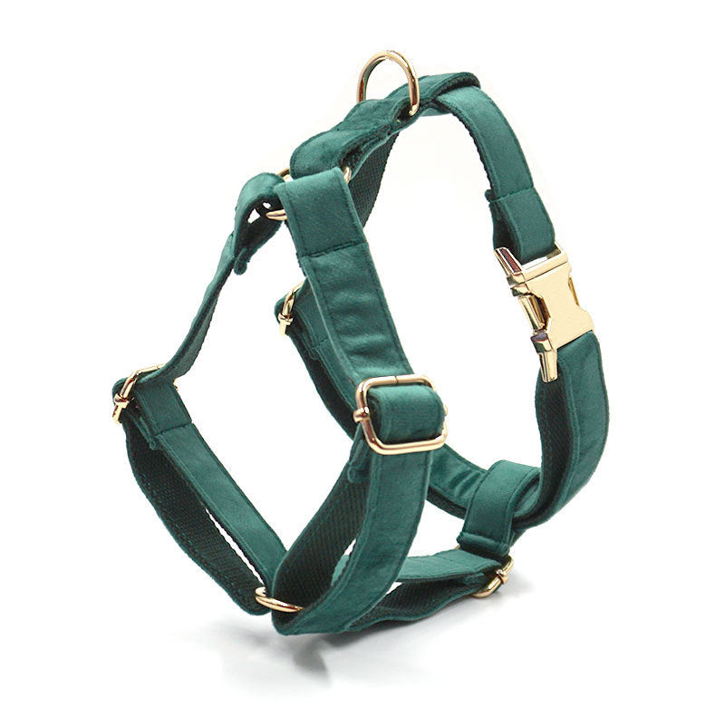 Green Velvet Dog Collar Leash