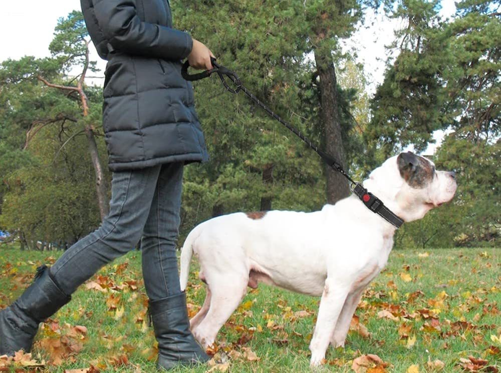 Dogs Leash for Running