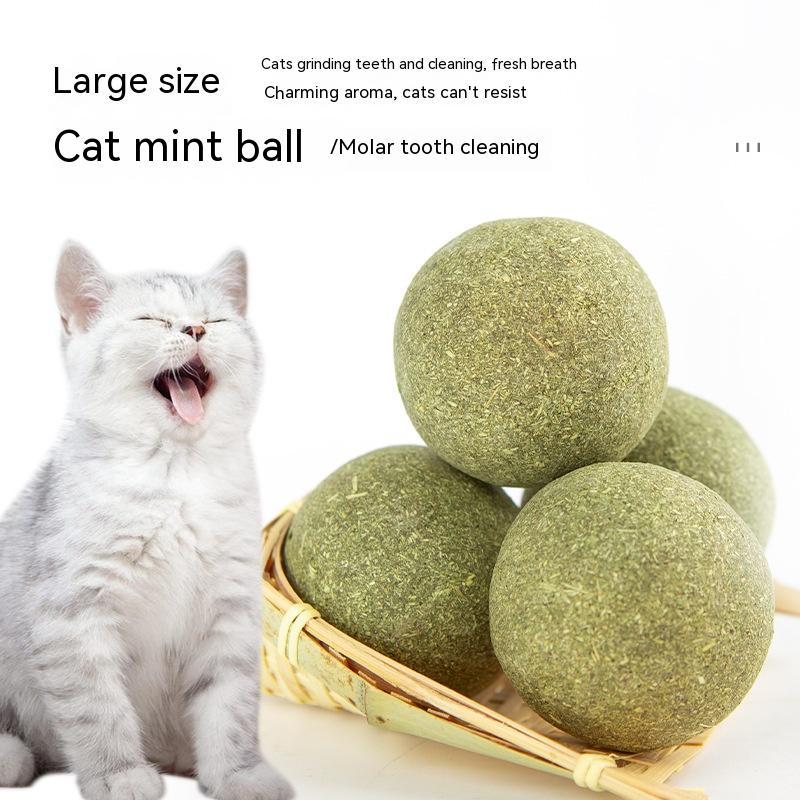 catnip ball