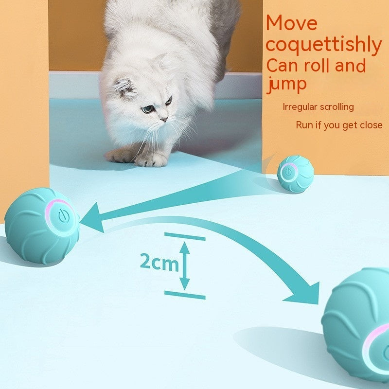 Smart Cat Toys