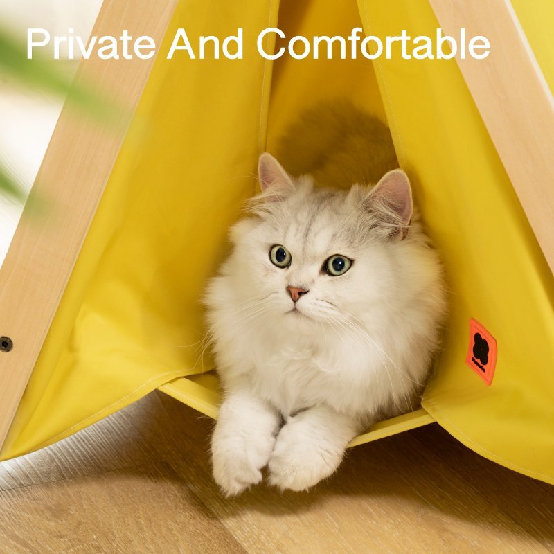 Cat Tent