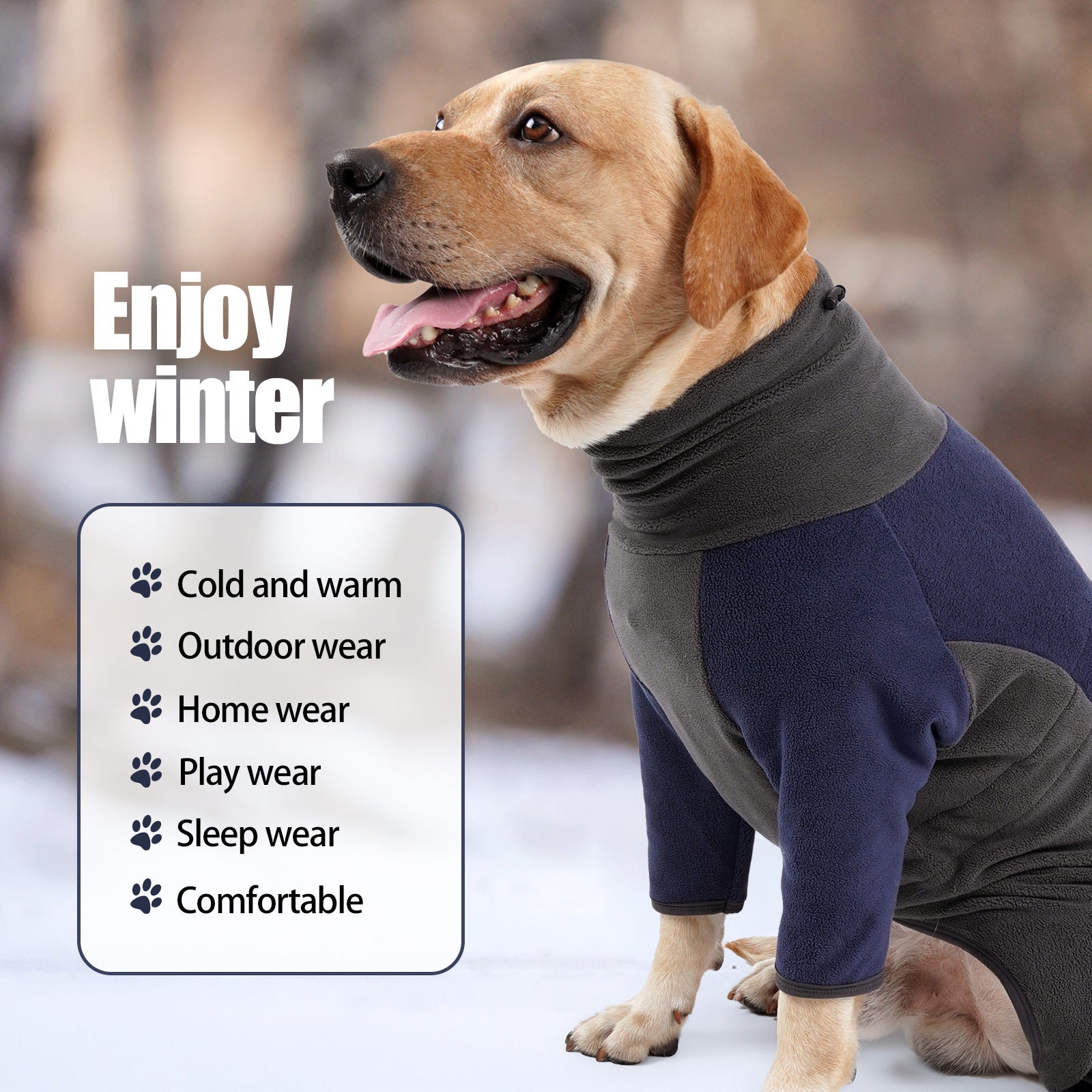 Winter clothes for dogs