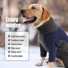 Winter clothes for dogs