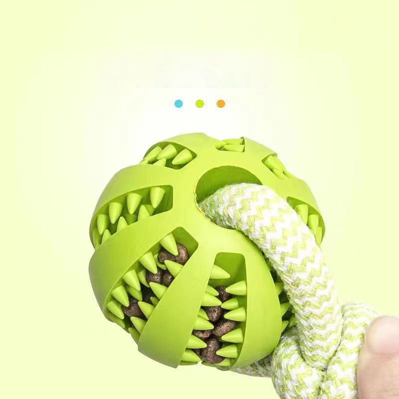 Dog Toys