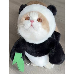 Cat Costume Rabbit