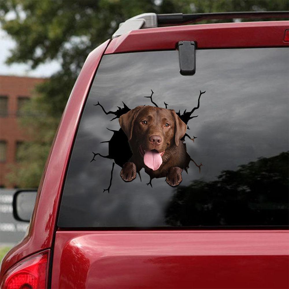 Animal Wall Stickers All Kinds Of Puppy Creative Hole Car Window Electrostatic