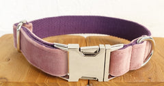 Dog leash pet collar