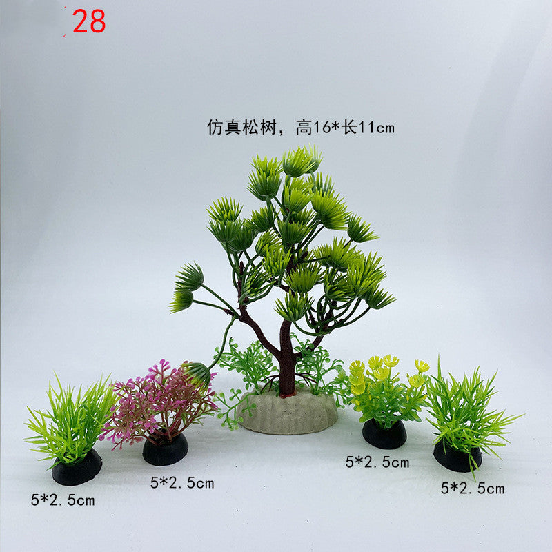 Plants for the aquarium