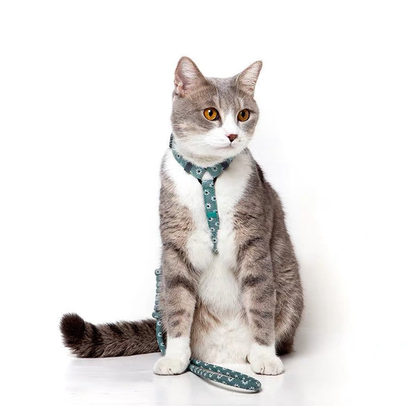 Walking leash for cats