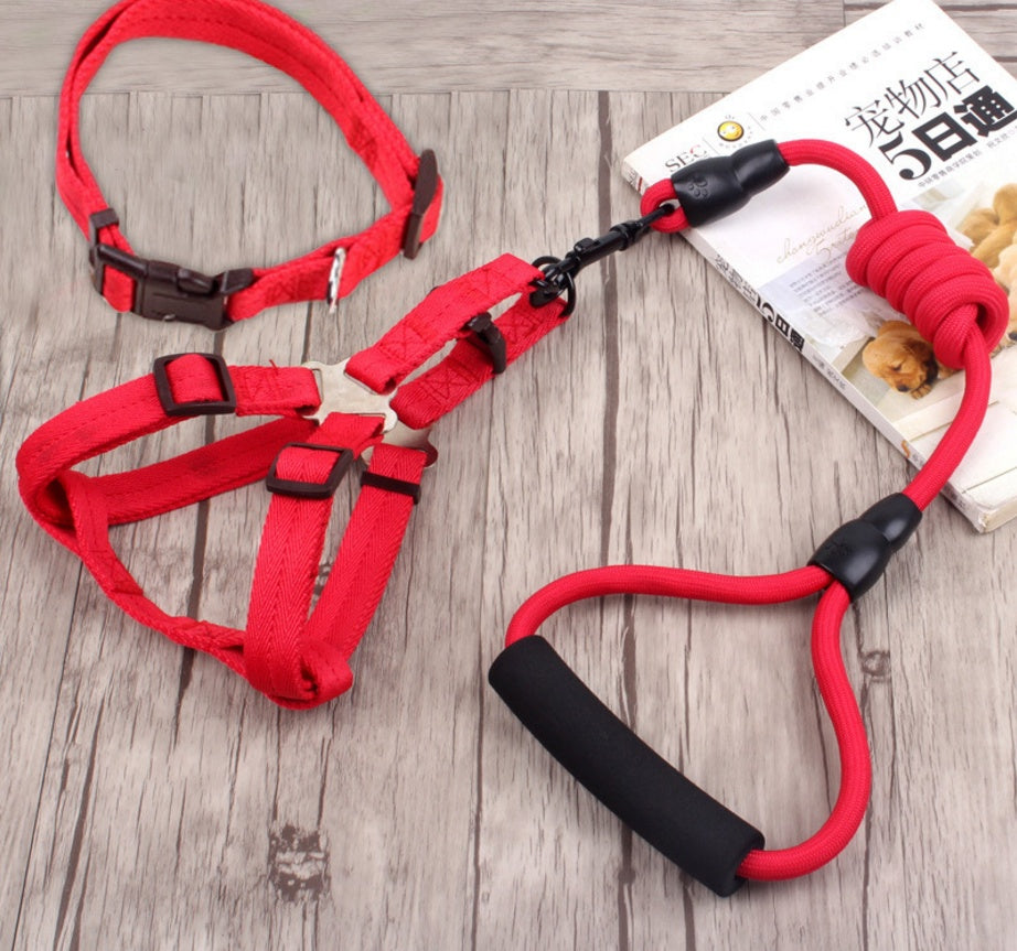 pet harness rope