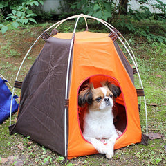 Cat Tent