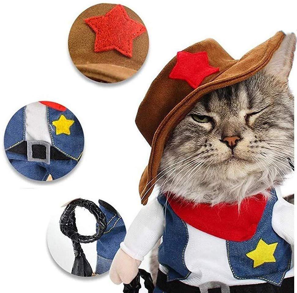 Pet costume