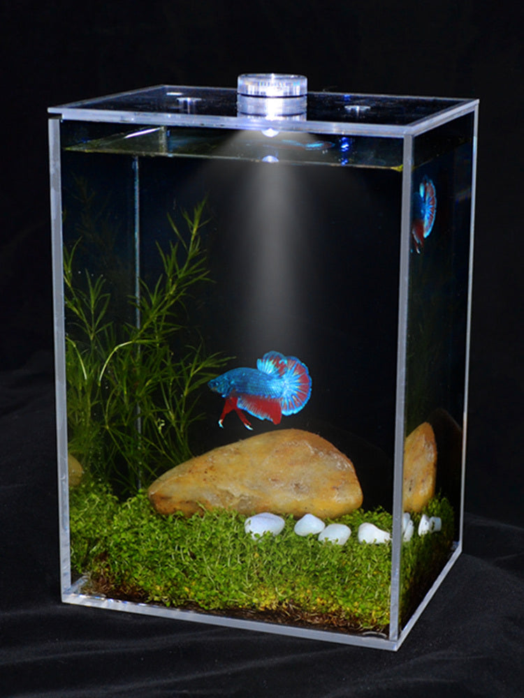 Fish tank creative transparent white square