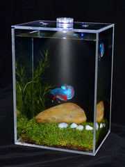 Fish tank creative transparent white square