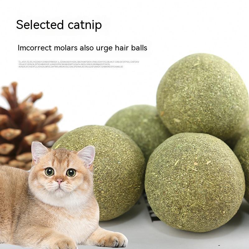 catnip ball