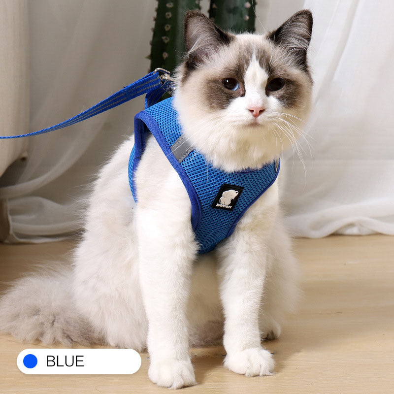 cat harness