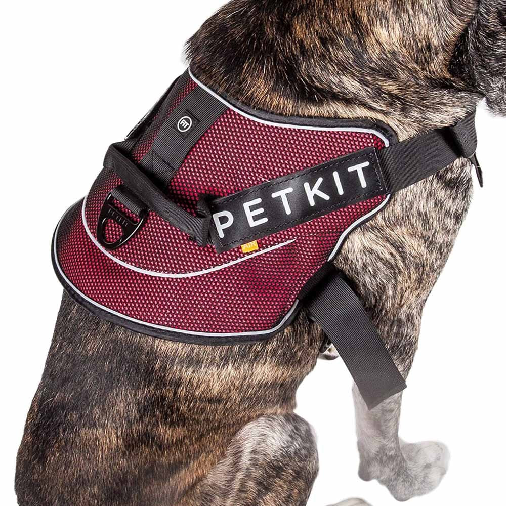 Pet vest chest strap