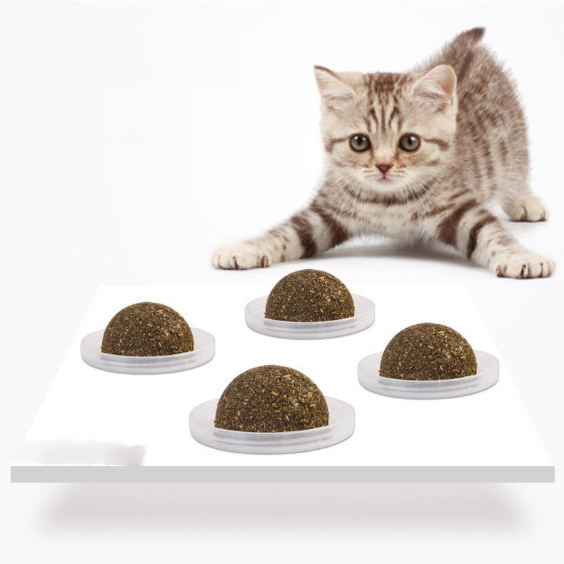 Pet Cat Grass Ball