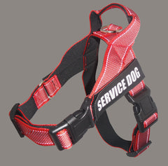 Personalize Pet harness