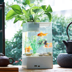 Desktop Fish aquarium