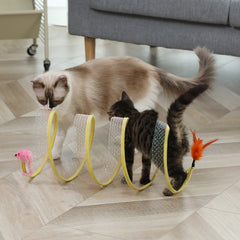 Cat Toys