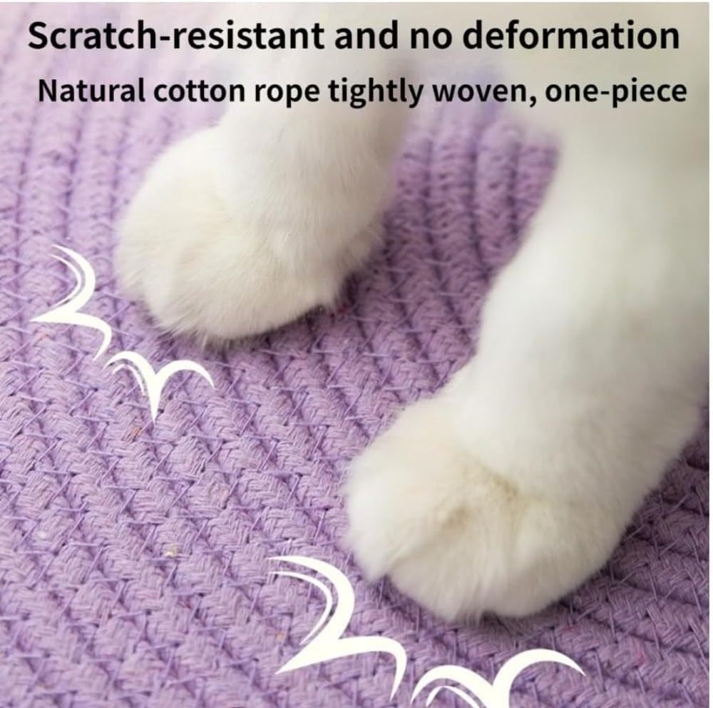 Scratch Cat Bed