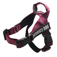 Personalize Pet harness