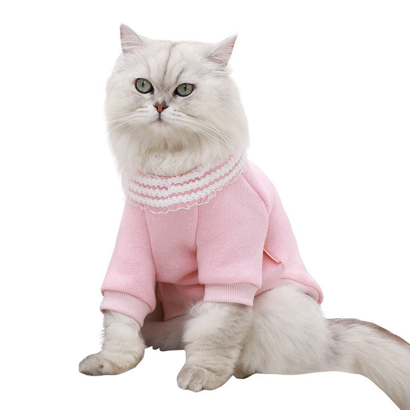 Cat clothes