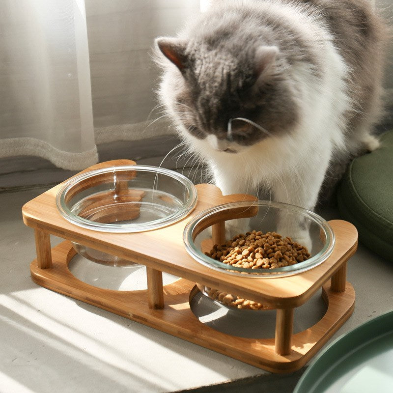 cat food bowl