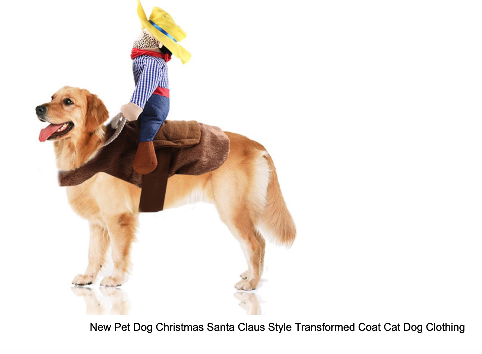 pet Costumes