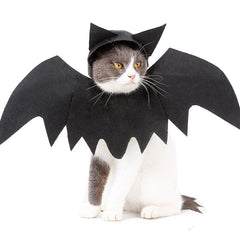 Halloween pet bat wings