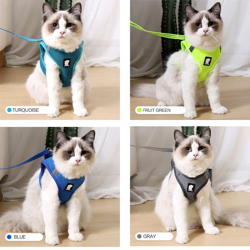 cat harness