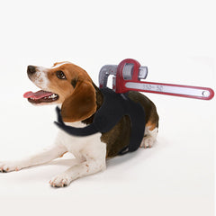 Halloween funny pet costumes