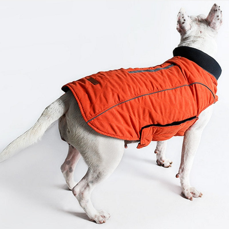 A Pet Jacket Vest